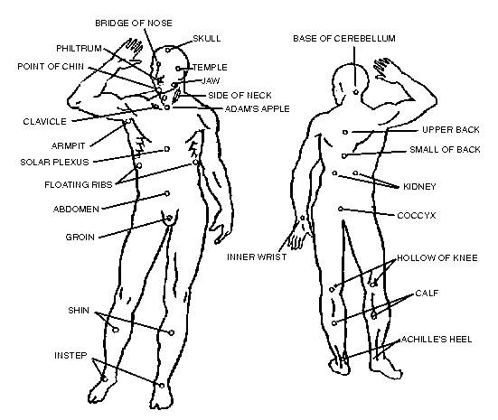 Self Defense Pressure Points Chart